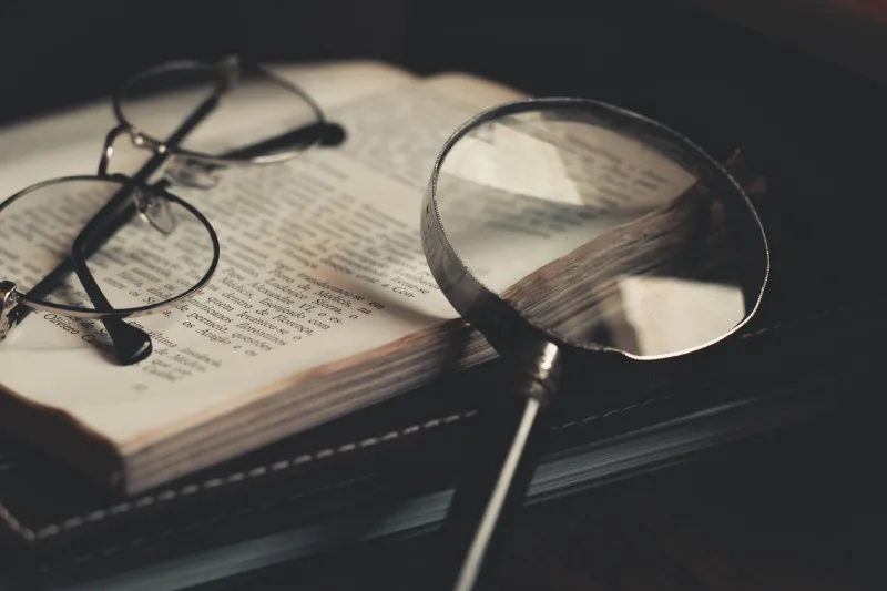 Bawn, Sconce and the Poet's Lexicon: When the Oxford English Dictionary Quoted Seamus Heaney