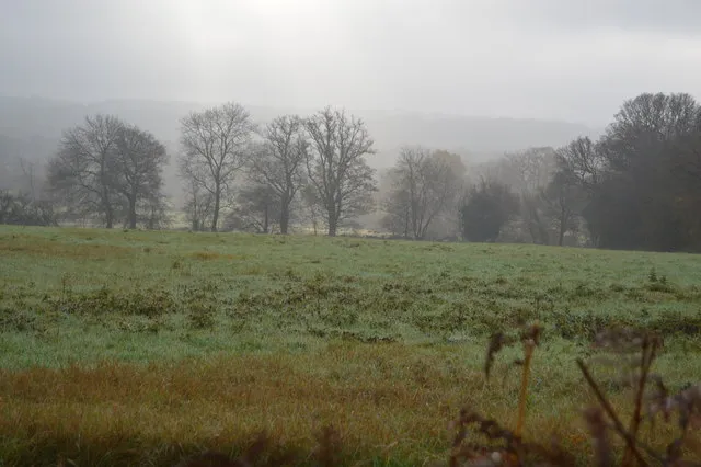 Rooted in Ground: How Place Became the Defining Language of Heaney's Poetry
